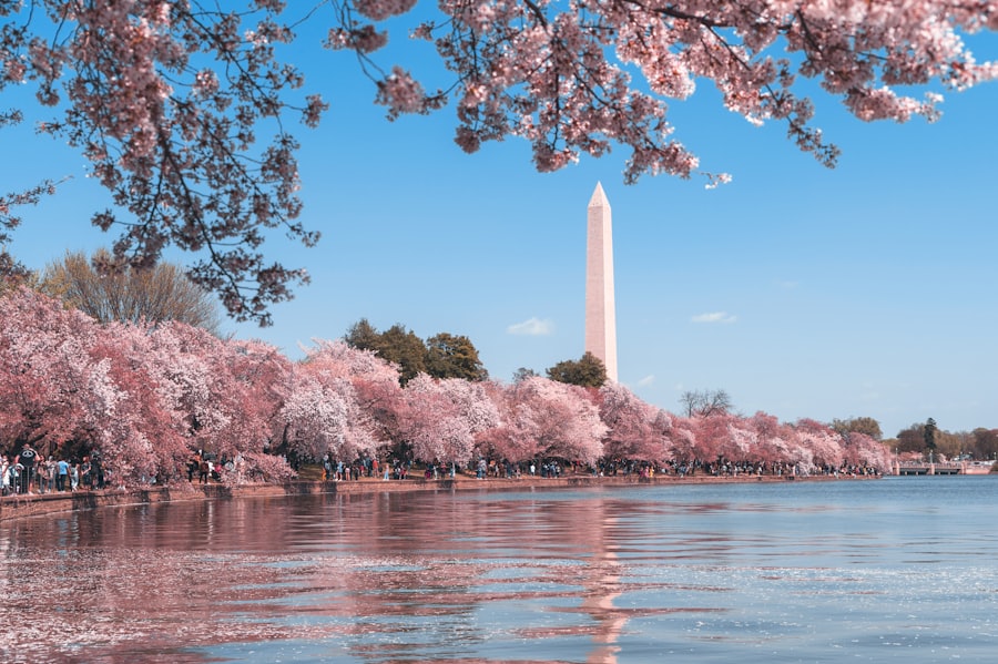 View toward the Washington Monument